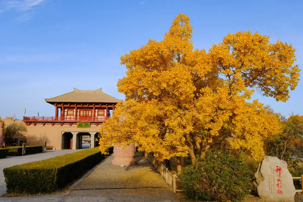 Yangguan Pass travel photo 3