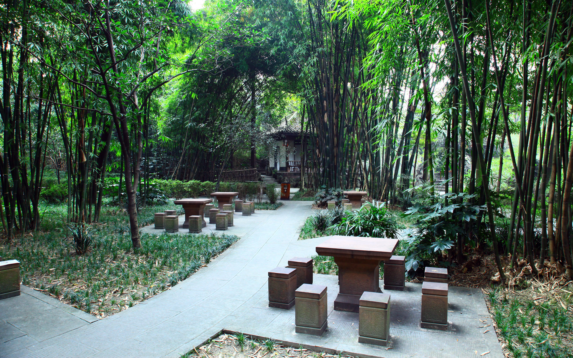 Chengdu travel photo 3