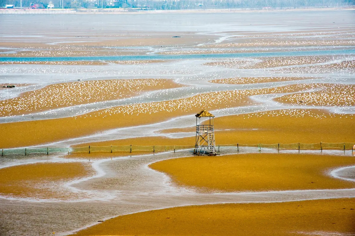 Qinhuangdao travel photo 4