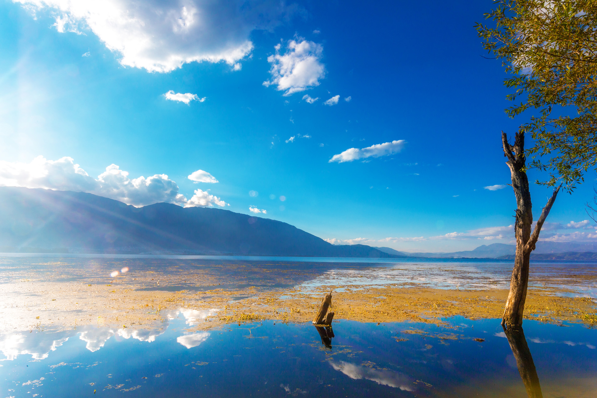 Shangri-La travel photo 1